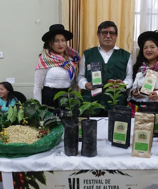 Café de altura de Tayacaja conquista mercados internacionales pese a la falta de carreteras