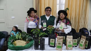 Café de altura de Tayacaja conquista mercados internacionales pese a la falta de carreteras