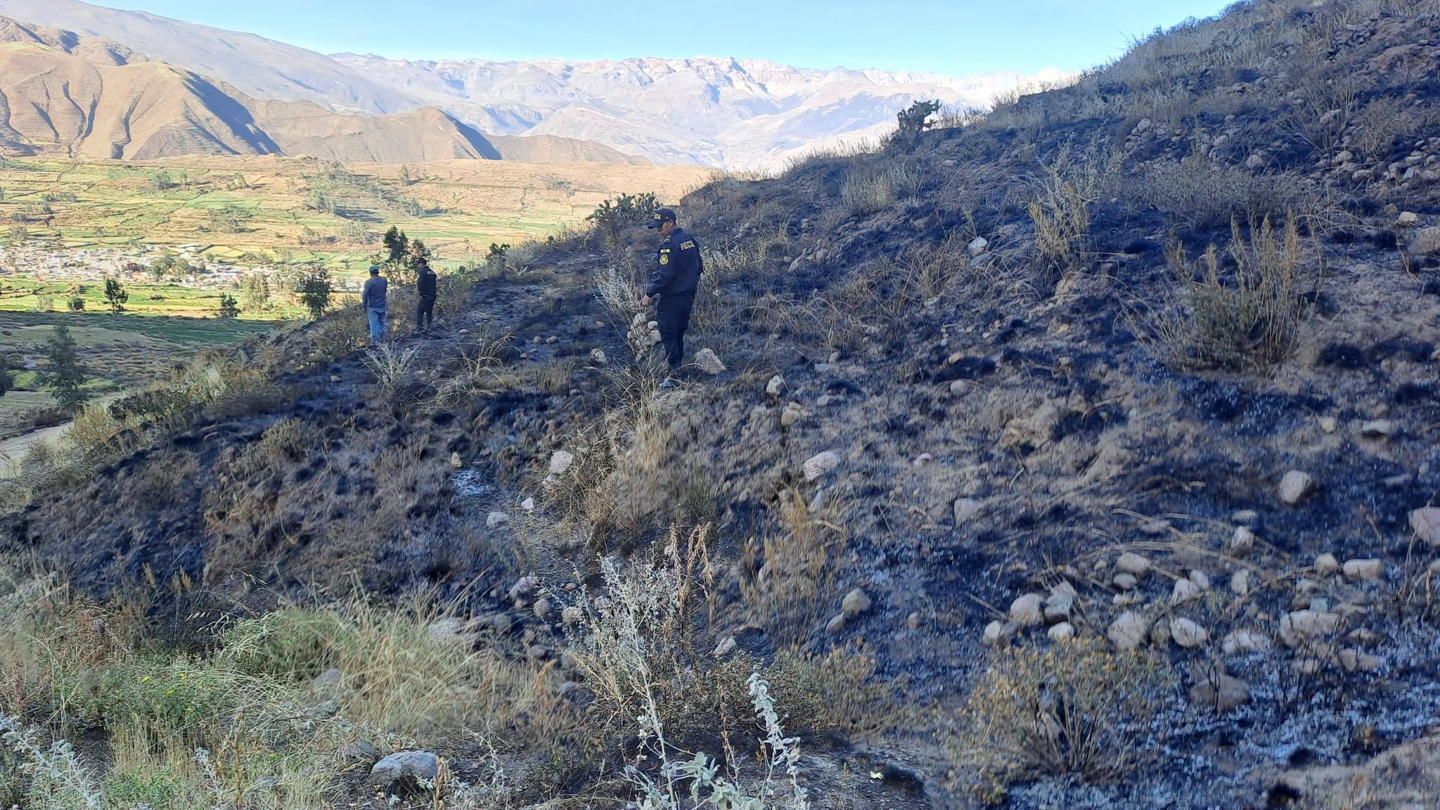 Incendio en el sector de Muychuy, distrito de Pampacolca, provincia de Castilla. Foto: COER Arequipa.