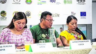 Denuncian que 35 líderes ambientalistas indígenas fueron asesinados, desde 2020