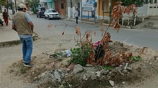 Piura: Forado es un grave riesgo para decenas de estudiantes