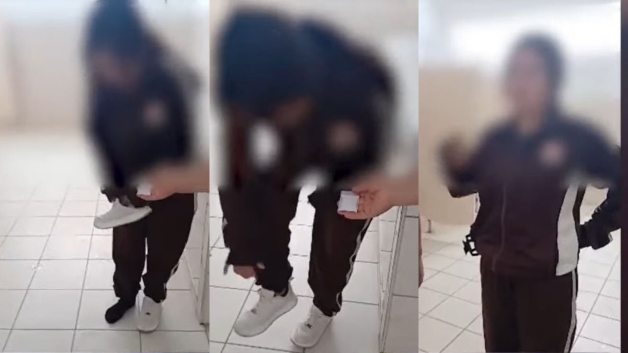 Hallazgo se produjo durante una revisión de rutina a cargo de las Brigadas de Autoprotección Escolar (BAPES).