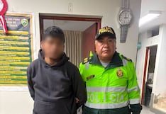 Hallan a niña de 11 años desaparecida hace una semana en Caravelí