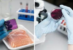 Investigadores peruanos crean empaques inteligentes que cambian de color para detectar alimentos en descomposición