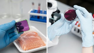 Investigadores peruanos crean empaques inteligentes que cambian de color para detectar alimentos en descomposición