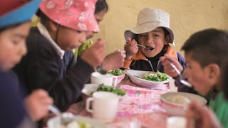 Ayacucho: Paucar del Sara Sara presenta 25% de anemia y 16% de desnutrición crónica en menores