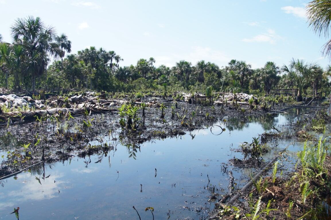 Se pretende cuidar el medio ambiente a través de estas iniciativas.