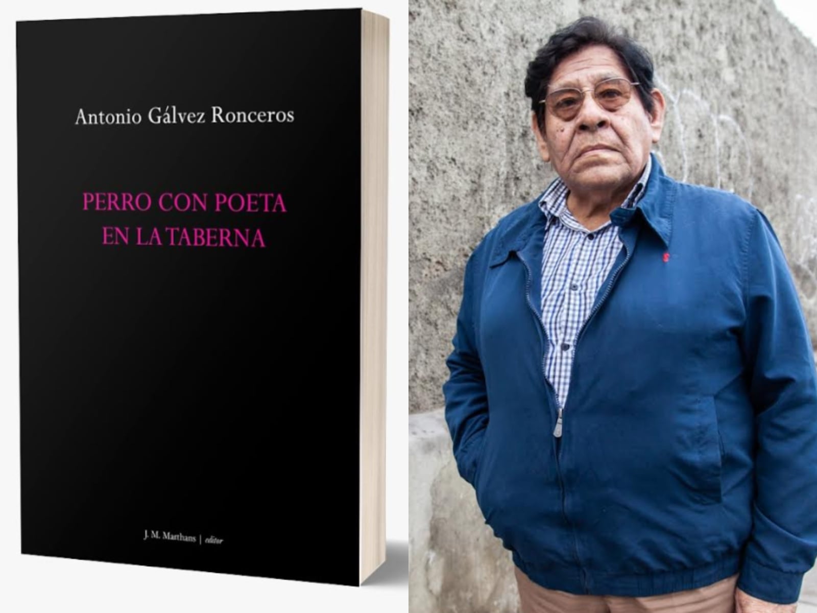 La ironía de Gálvez Ronceros, tan sutil e implacable, discurre sin ruidos en la narración fluida, poética, a través de la voz del perro (Foto: J. M. Marthans)