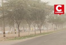 Ica: Senamhi alerta sobre fuertes vientos en la costa sur y centro del país