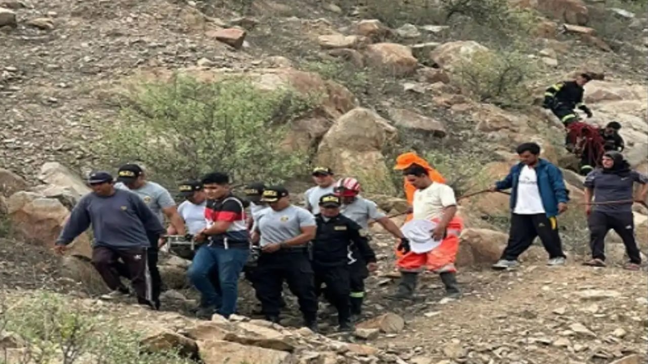 La víctima cayó por una pendiente rocosa mientras intentaba huir del enjambre. Autoridades exhortaron a la población a tomar precauciones en zonas agrestes.