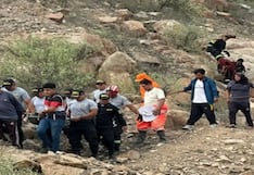 Lambayeque: hombre muere tras ataque de abejas en cerro de Pátapo