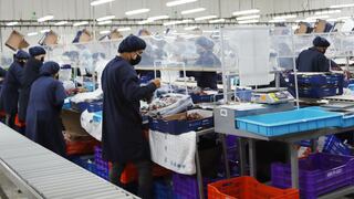 Ica concentra más del 50% de producción de uvas del Perú, motor clave para la economía local