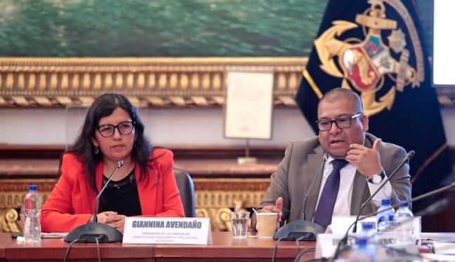 El equipo técnico de la Comisión de Constitución concluyó no dar facultades al Poder Ejecutivo. Foto: Andina.