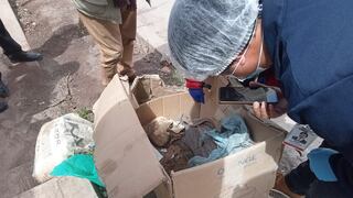 Cusco: Hallan fardo funerario prehispánico en vía pública de San Sebastián (FOTOS)