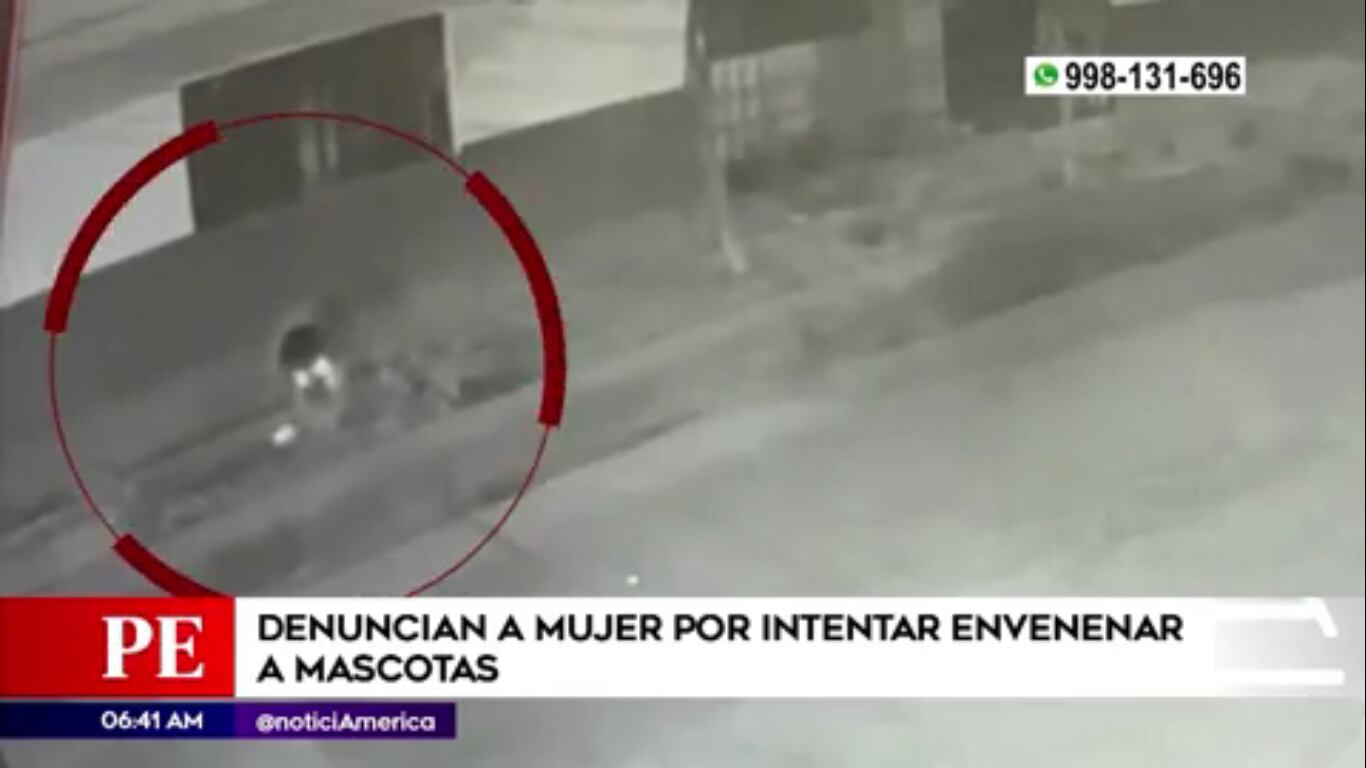 Vecinos denuncian que mujer deja comida envenenada en la calle.