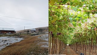 Arequipa: DANA y El Niño amenazan con heladas y menor calidad de cultivos