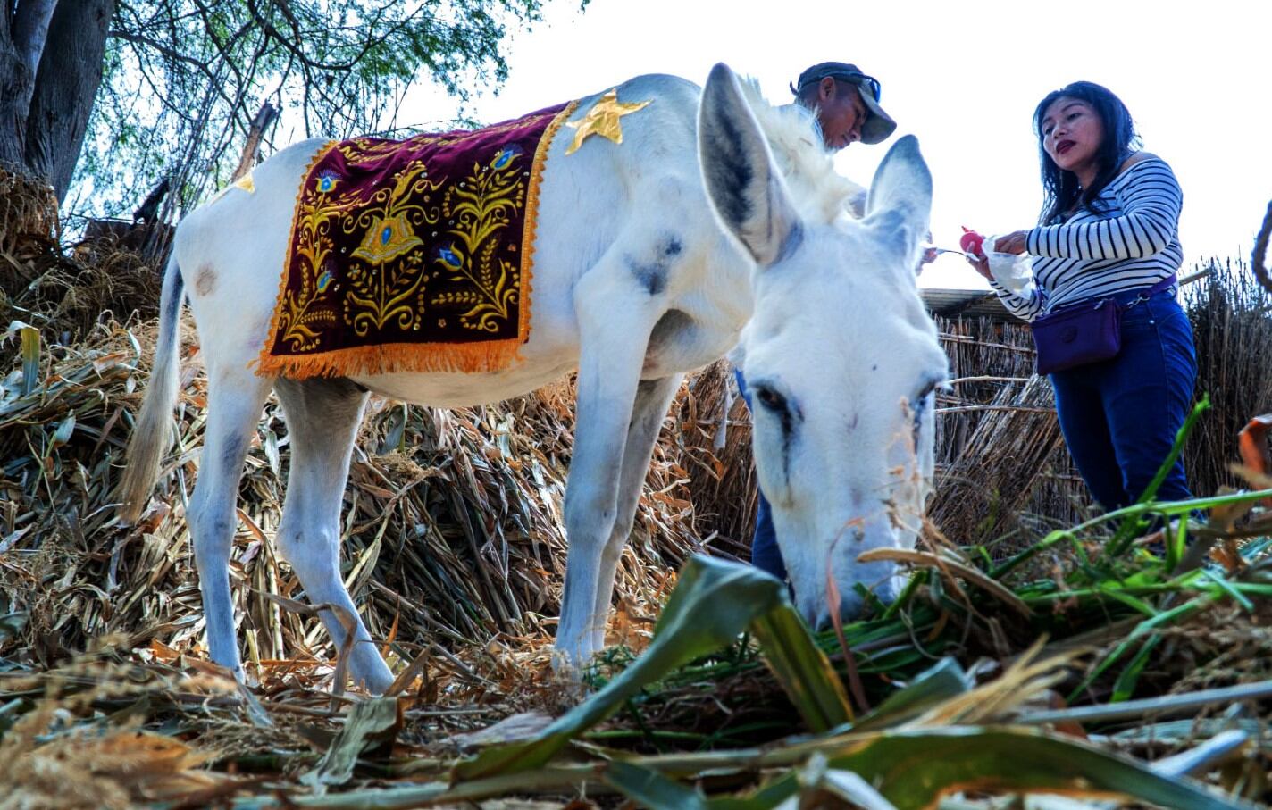 Las hermanas Lupuche-Paz, preservan su fe y tradición.