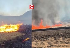 Puno: Incendios forestales fuera de control devastan varios distritos de la región