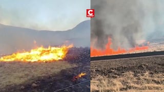 Puno: Incendios forestales fuera de control devastan varios distritos de la región