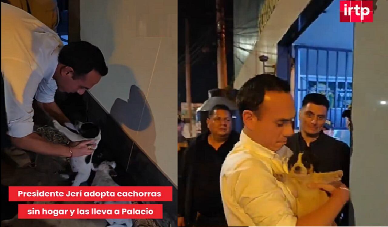 Presidente José Jerí rescata a tres cachorritas abandonadas.