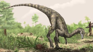 Hallan restos del dinosaurio más antiguo que se haya registrado