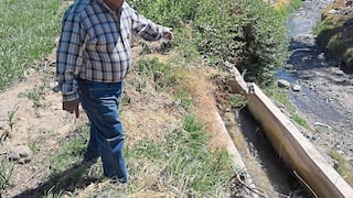 Arequipa: Más de 230 agricultores esperan mejoras en el canal de regadío en Sachaca