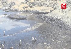 Contaminación persiste en el mar de Ventanilla