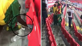 Hinchas de Senegal recogen basura de las tribunas antes de celebrar victoria contra Polonia (VIDEO)