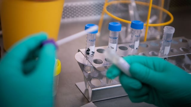 Meticulosa investigación sigue la pista a cada paciente para frenar propagación del coronavirus