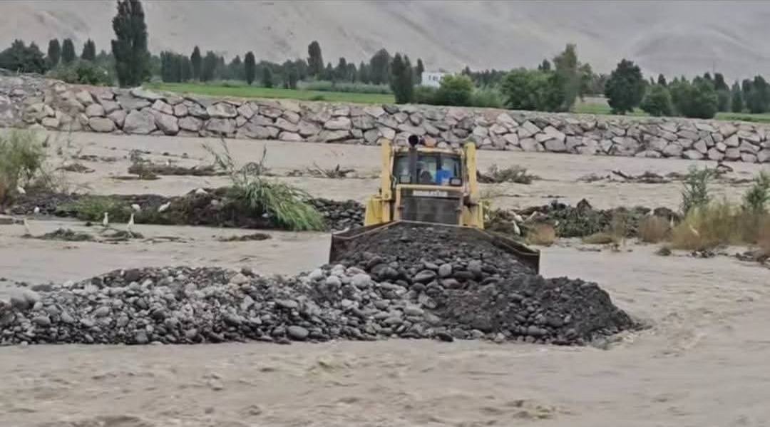 Trabajo de Defensa Ribereña en Castilla