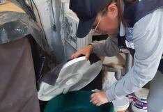 La Libertad: Brigadas frente al dengue realizan trabajos de prevención en zonas de riesgo