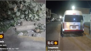 Ica: denuncian tala ilegal de árboles para habilitar estacionamiento informal