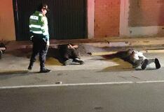 Arequipa es la cuarta región del país con mayor tasa de victimización