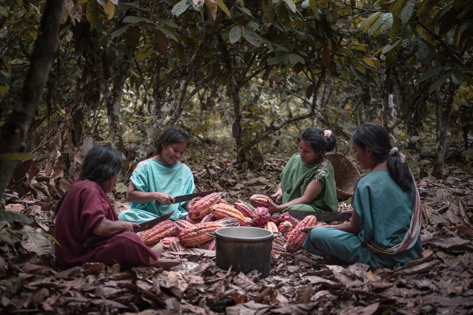 Emprendimiento asháninka.