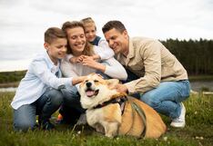 Esterilizar a tu mascota: 5 razones clave para hacerlo y salvar vidas