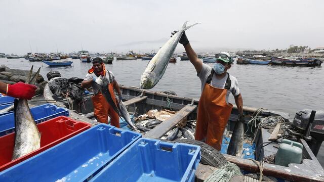 Bono pescadores: fecha de pago y monto del subsidio se conocerá el 2 de marzo