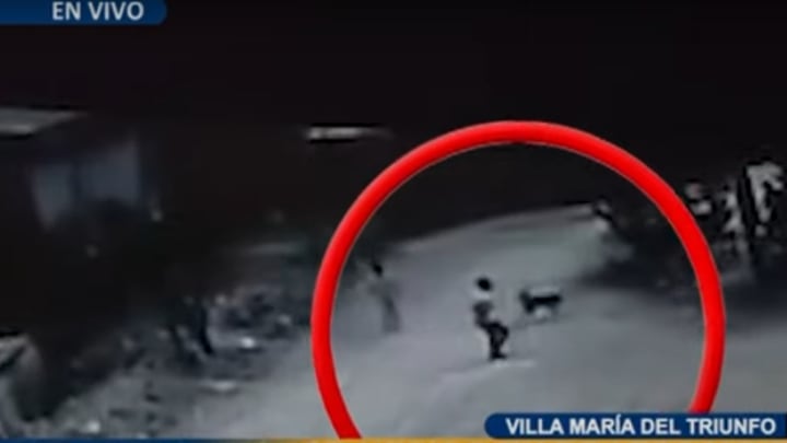 Perro atacó a menor de 10 años en VMT. Foto: Buenos Días Perú