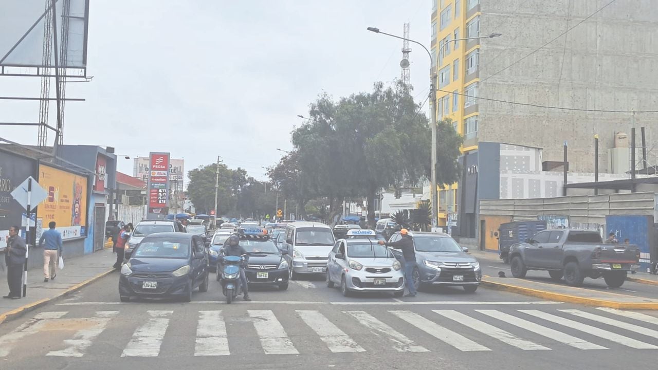 Favorece a 29 empresas que ofrecen este servicio y una flota de 1,972 vehículos.