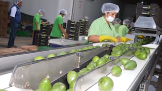 Agroexportaciones crecieron 3.6% durante el primer semestre