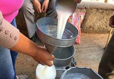 Suspenderán acopio de leche en Arequipa por bloqueos en carretera Panamericana Sur