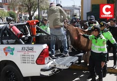 En Huancayo, estudiante, padre, preso y dos jóvenes mueren solo en 14 horas