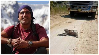 Facebook: Manolo Del Castillo saluda gesto de hombre con oso perezoso varado en autopista 
