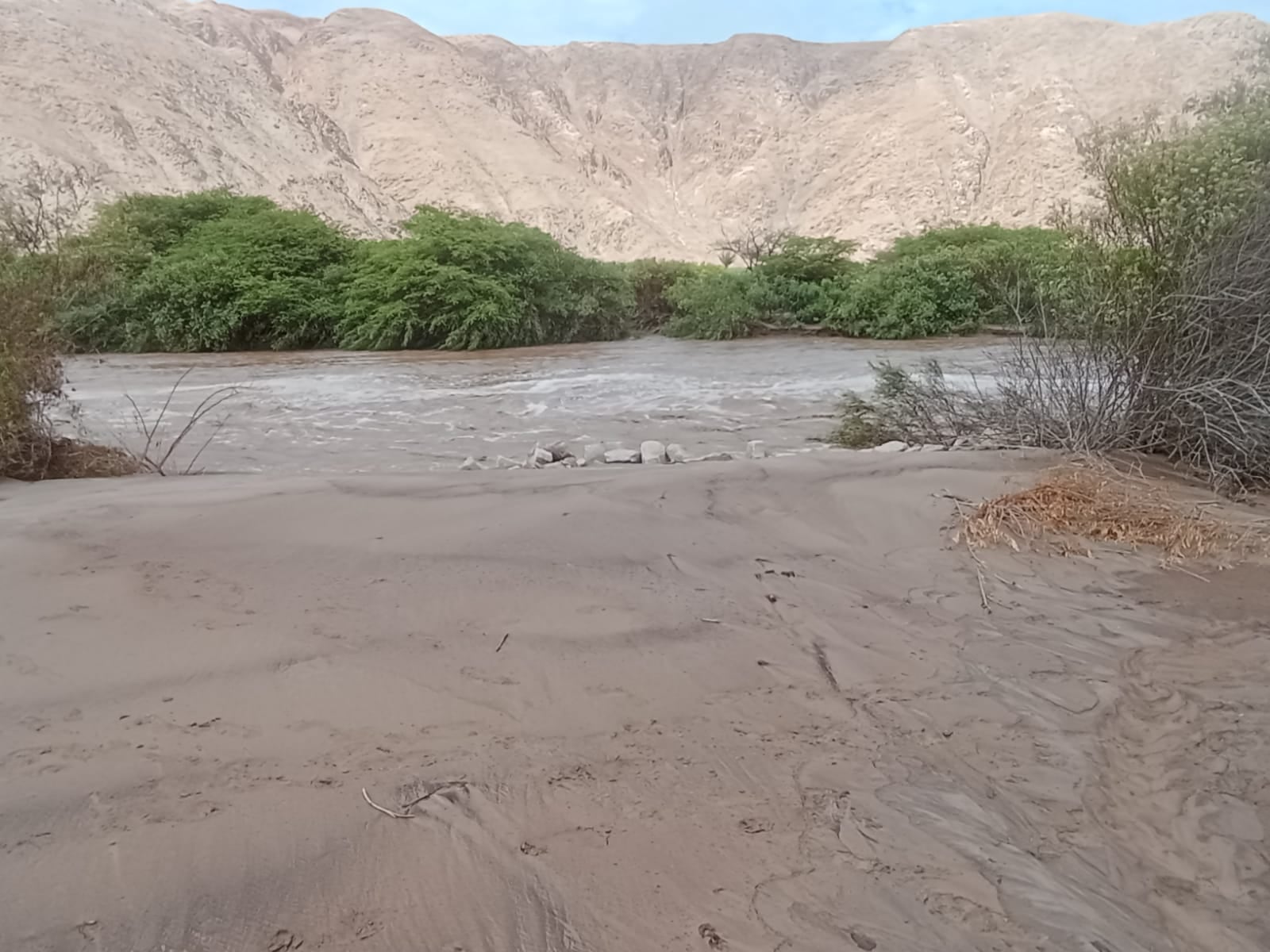 Desborde del río Ocoña, provincia de Camaná, pone en peligro a pobladores. Foto: Municipalidad de Ocoña.