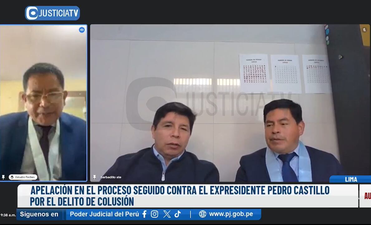 Pedro Castillo en audiencia