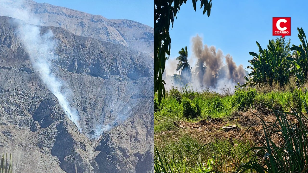 Cuatro incendios forestales fueron extinguidos en Arequipa, Puno, Ucayali y Pasco, según Indeci. Composición: Diario Correo.