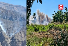 Cuatro incendios forestales fueron extinguidos en Arequipa, Puno, Ucayali y Pasco, según Indeci