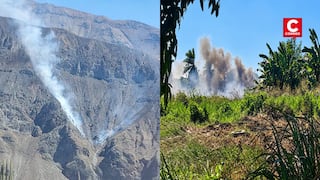 Cuatro incendios forestales fueron extinguidos en Arequipa, Puno, Ucayali y Pasco, según Indeci