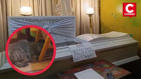 Anciana en estado de abandono murió y es velada junto a su fiel mascota ‘Loca’