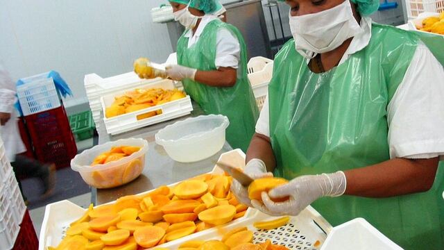 Mango peruano ingresa al emporio comercial de Corea del Sur 