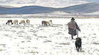 Se vienen fuertes heladas en Cusco y coordinan acciones de prevención